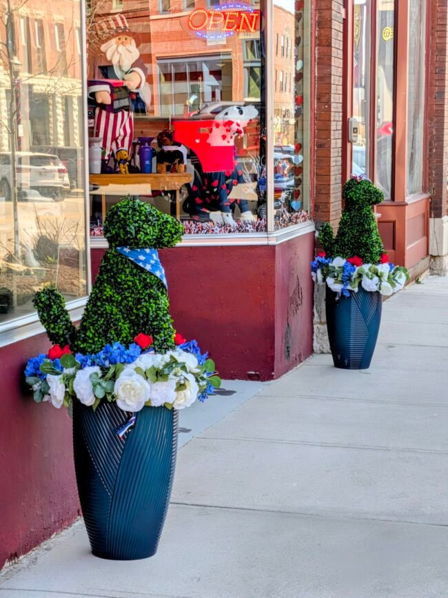 Patriotic boxwood dog topiaries in planters flank a decorated storefront on Historic C-Street.