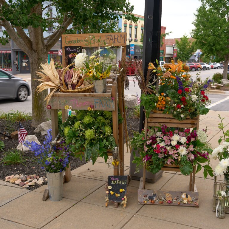 The C-Street Floral Stroll, a one-mile loop of floral arrangements on C-Street in June in Springfield, MO