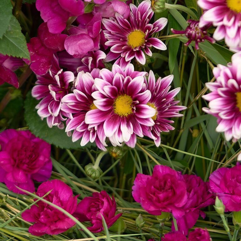The C-Street Floral Stroll, a one-mile loop of floral arrangements on C-Street in June in Springfield, MO