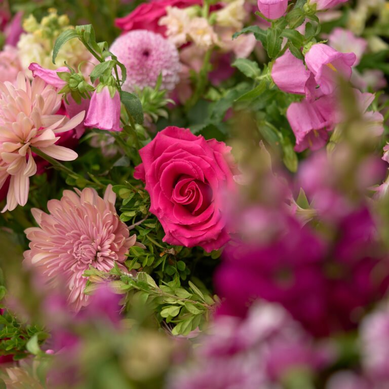The C-Street Floral Stroll, a one-mile loop of floral arrangements on C-Street in June in Springfield, MO